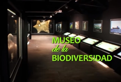 Museo de la Biodiversidad de Ibi