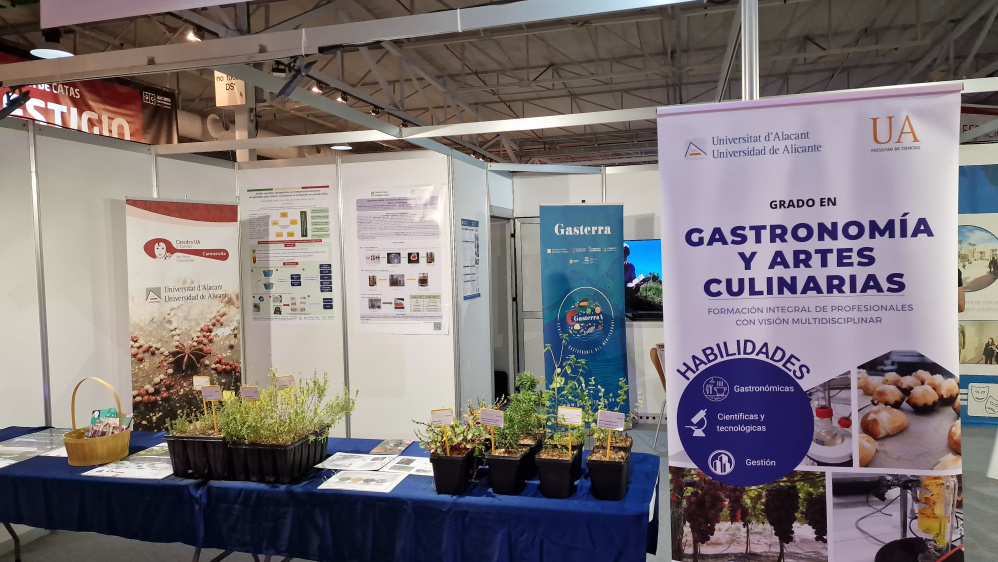 Gastronoma y Hostelera de Alicante>