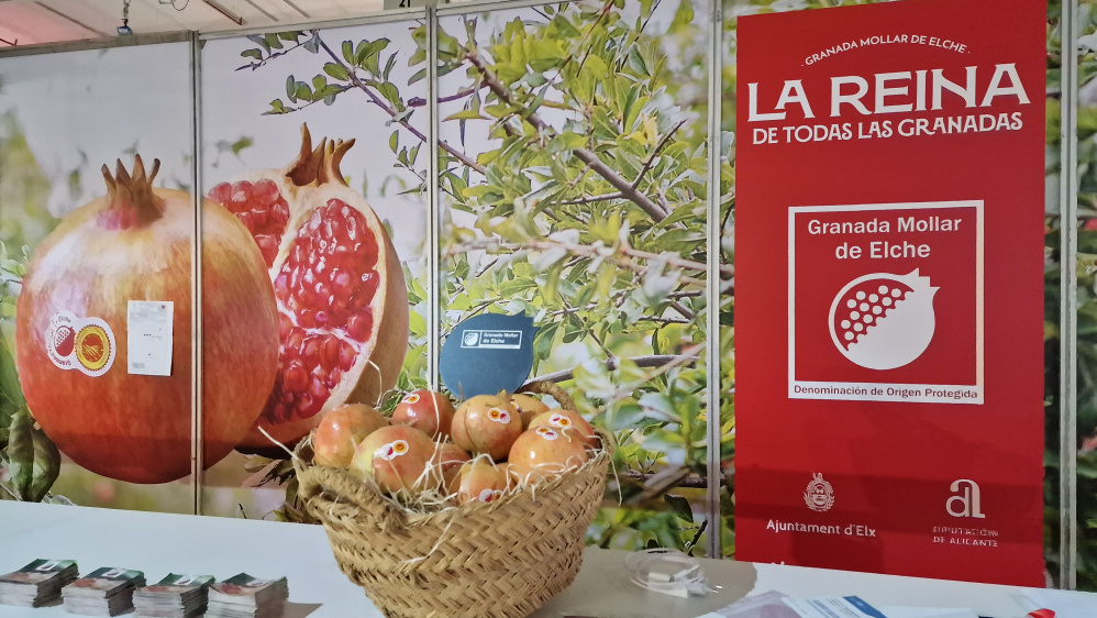 Gastronoma y Hostelera de Alicante>