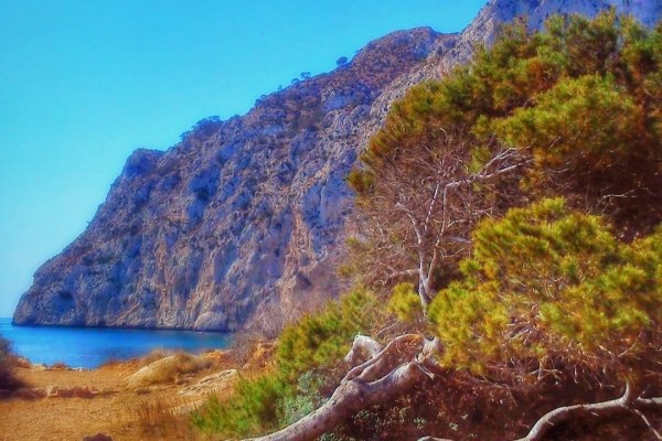 Chiringuito en Costa Blanca