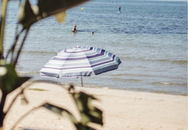 Buscar Restaurantes en Alicante