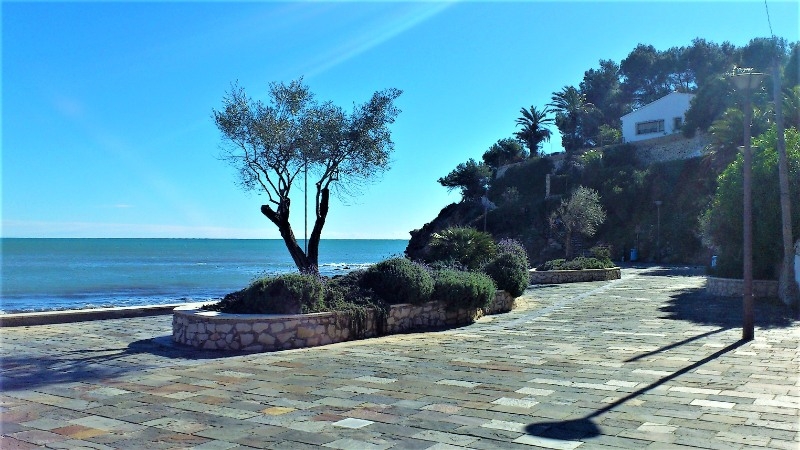 Chiringuito en Costa Blanca