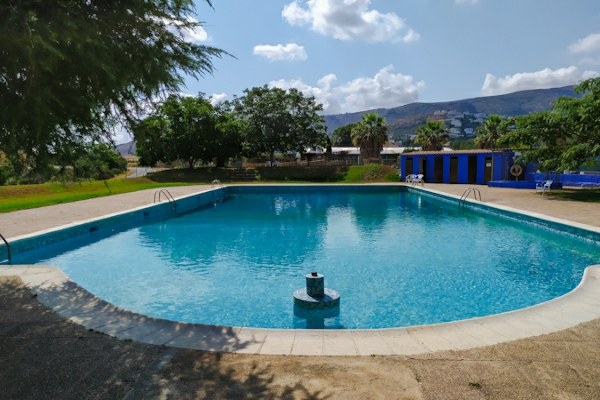 Comer bajo la sombra de los pinos