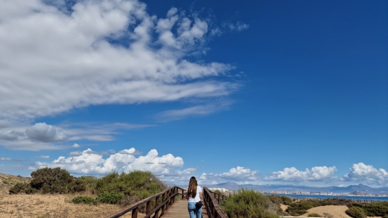 Chiringuito en Costa Blanca
