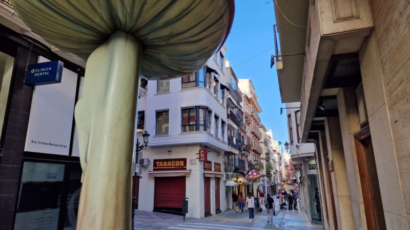 Calle Céntrica de Alicante