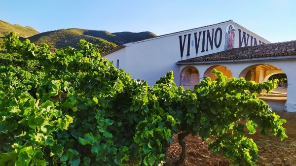 Escapadas Gastronmicas Costa Blanca