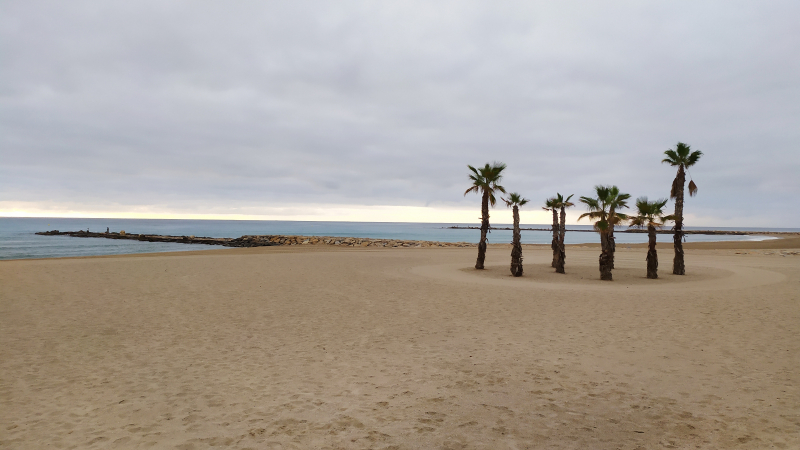 Escapadas Gastronmicas Alicante