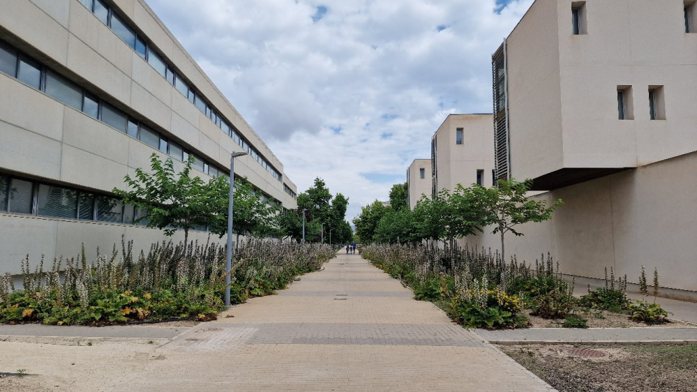 Fotos de Sant vicent del raspeig
