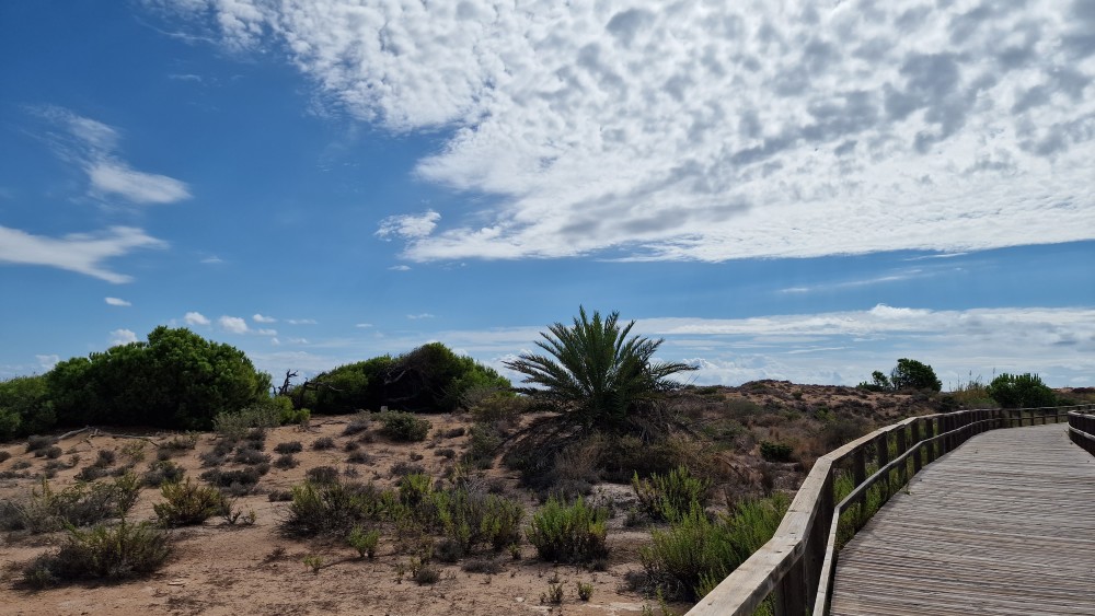 Playa de Elche