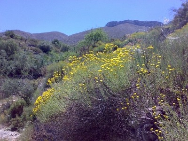 Que ver en La Vall d