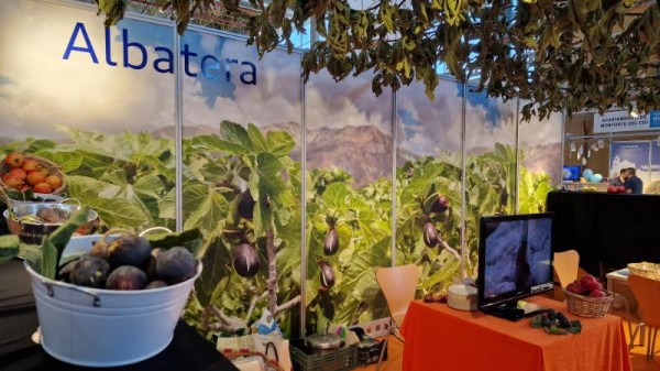 Blog de Gastronoma de Elche