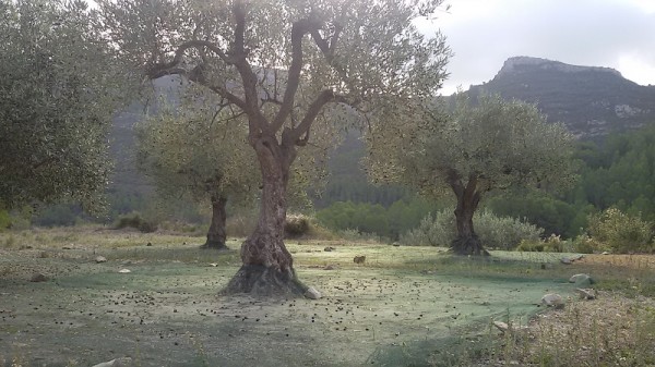 Que ver en La Vall d