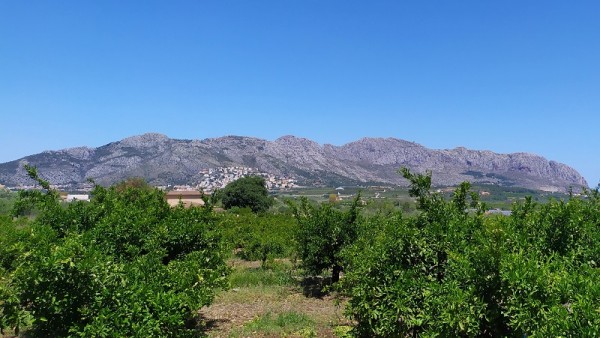 Que ver en El Rfol d