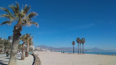 Hoy en Alicante