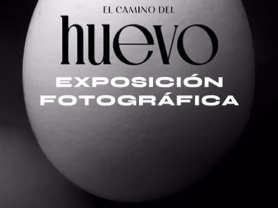 Guia de exposiciones