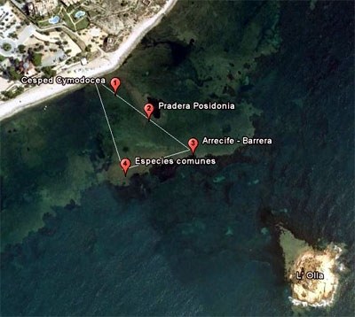 El salguers de Posidonia