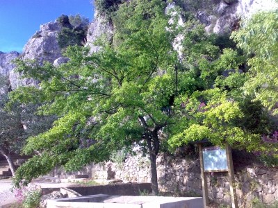 La ruta del Forat de Bernia