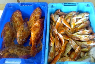 Del port de Moraira al tresmall