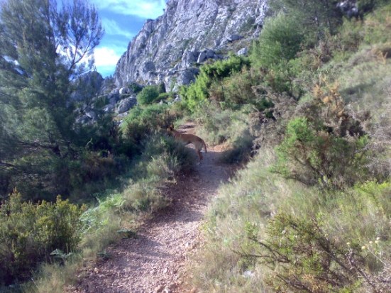 Subir al Forat de Bernia