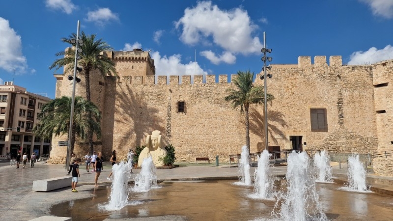 Visita al Palmeral de Elche