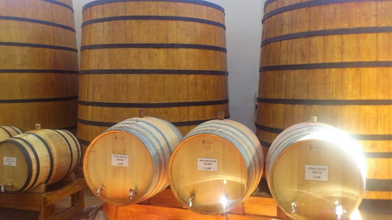 Vinos madurados en madera