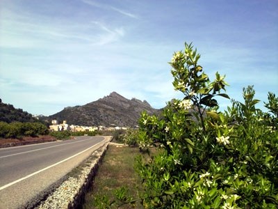 Bonita ruta para cicloturismo