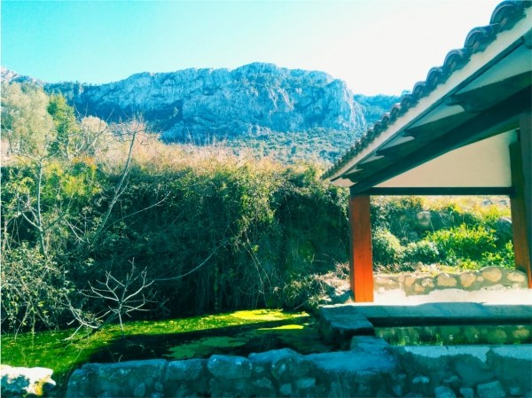 Cerezos en flor desde Marzo a Mayo