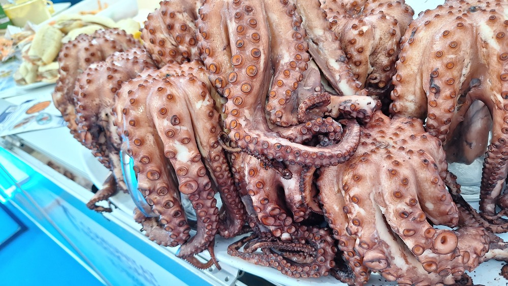 Hostelera de Vega Baja